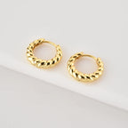 Twisted Hoop Earrings
