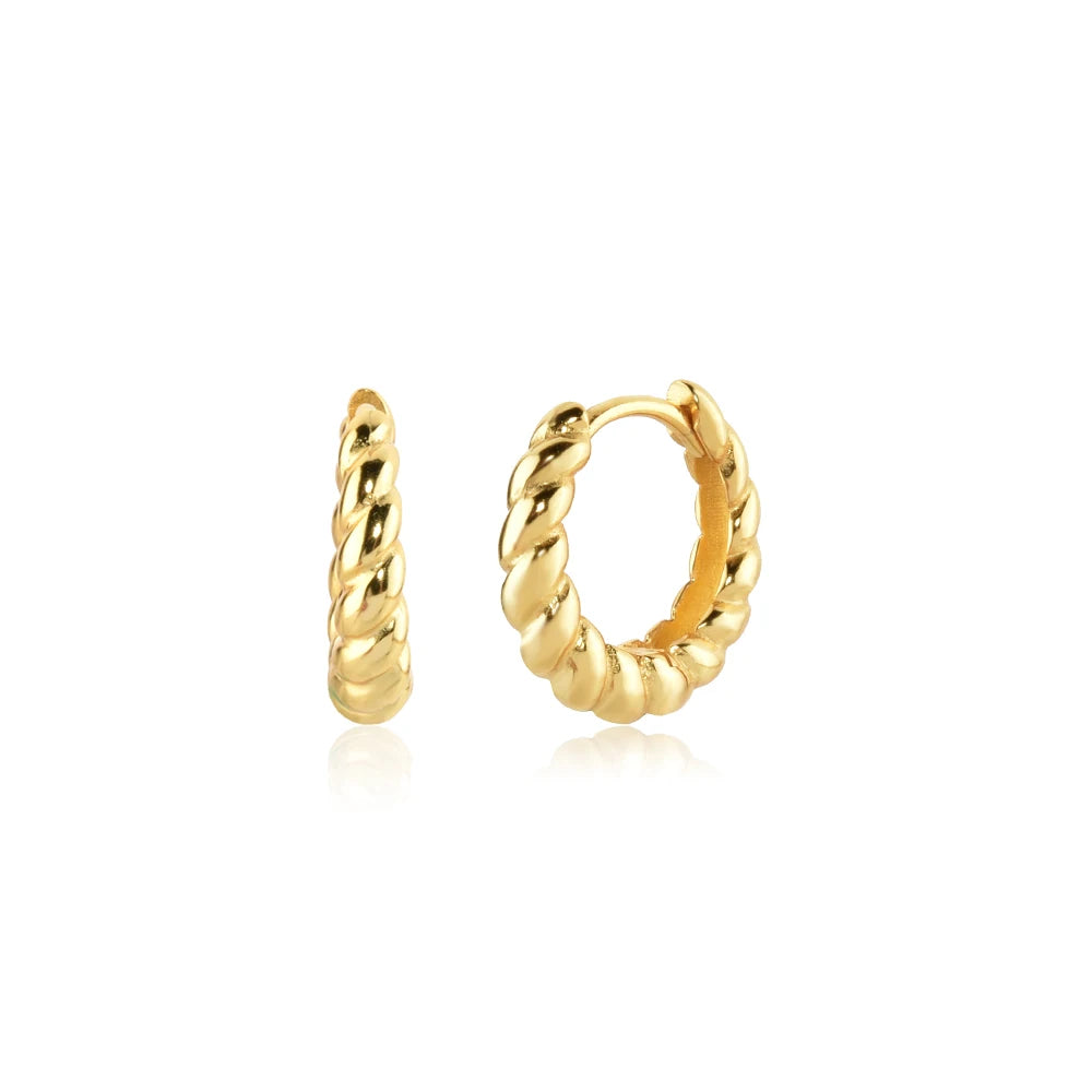 Twisted Hoop Earrings