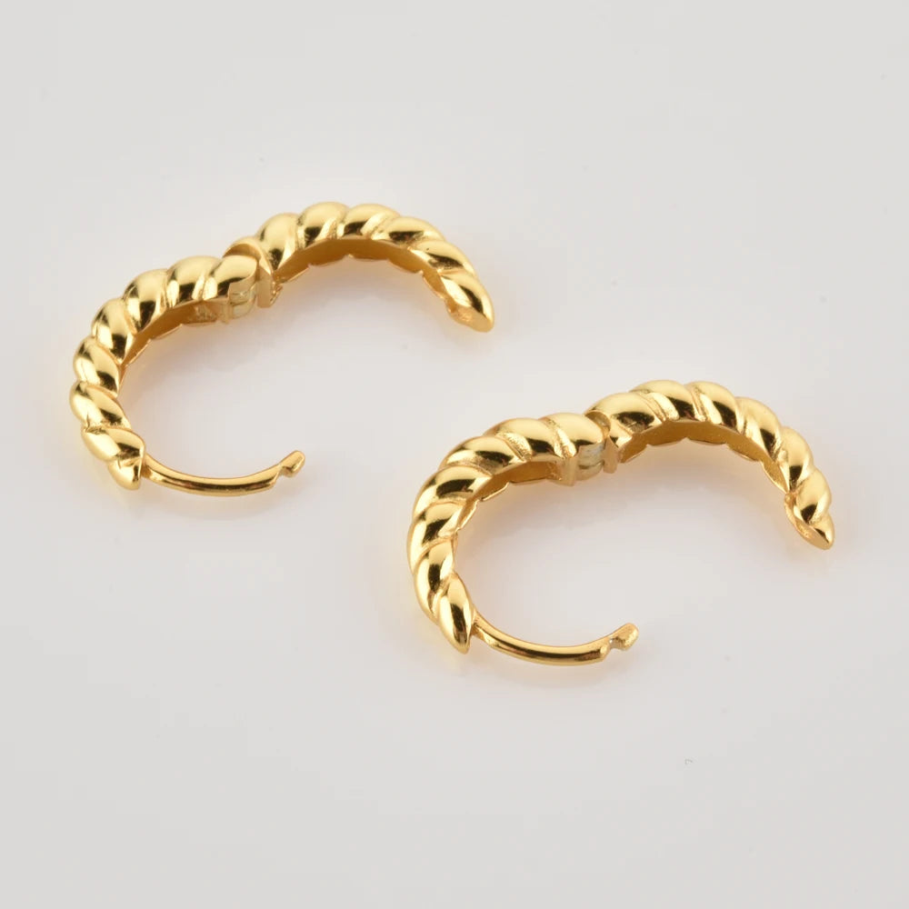 Twisted Hoop Earrings