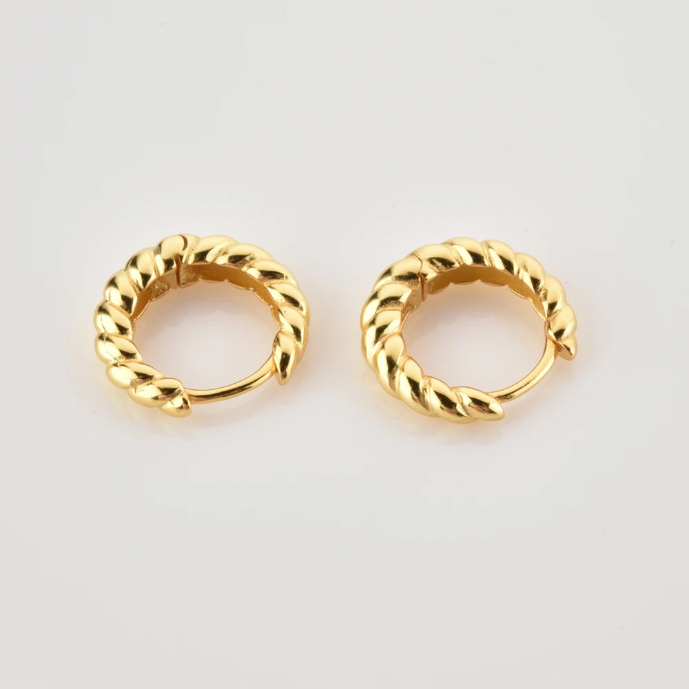 Twisted Hoop Earrings